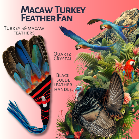 Macaw & Turkey Feather Smudge Fan - XL