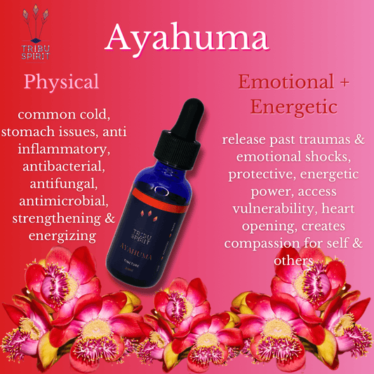 Ayahuama - Master Plant Tincture