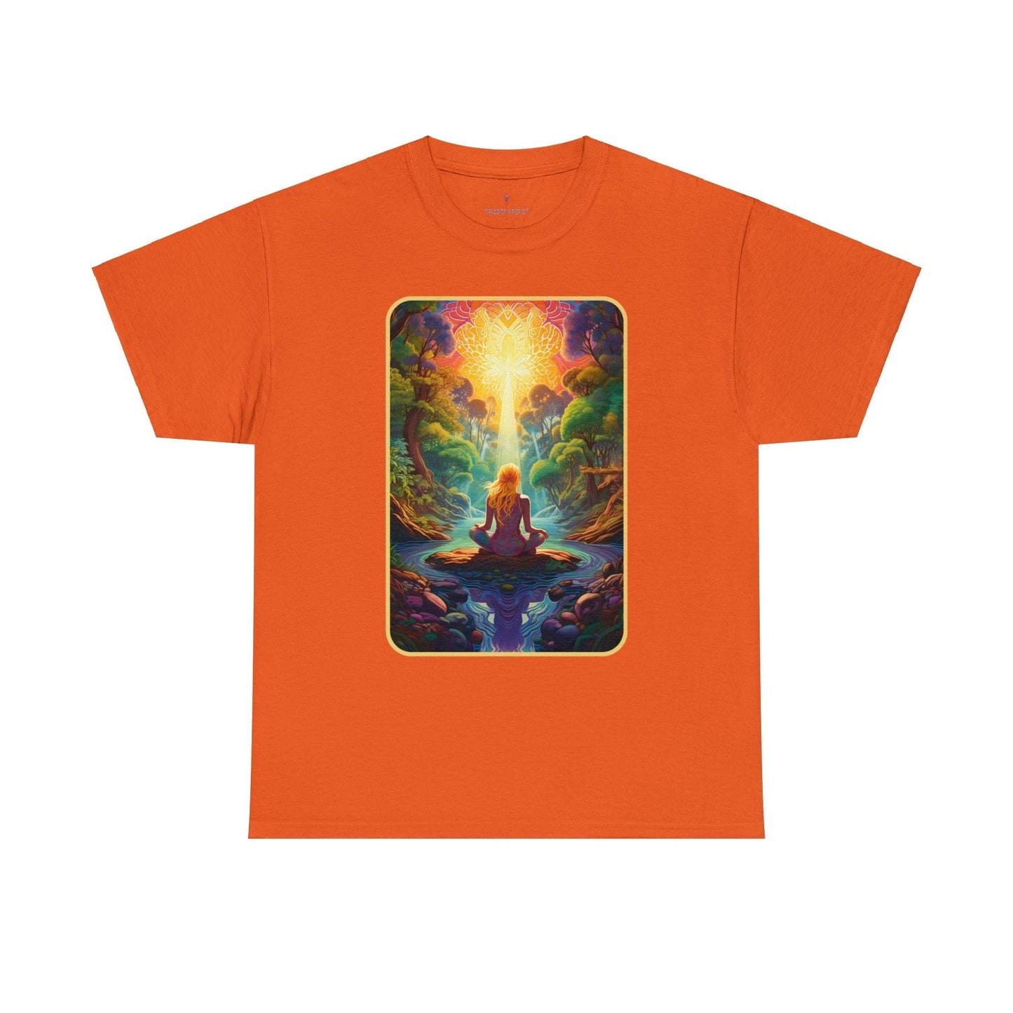 DMT - Unisex Cotton Tee
