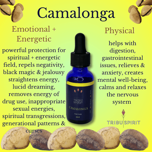 Camalonga - Master Plant Tincture