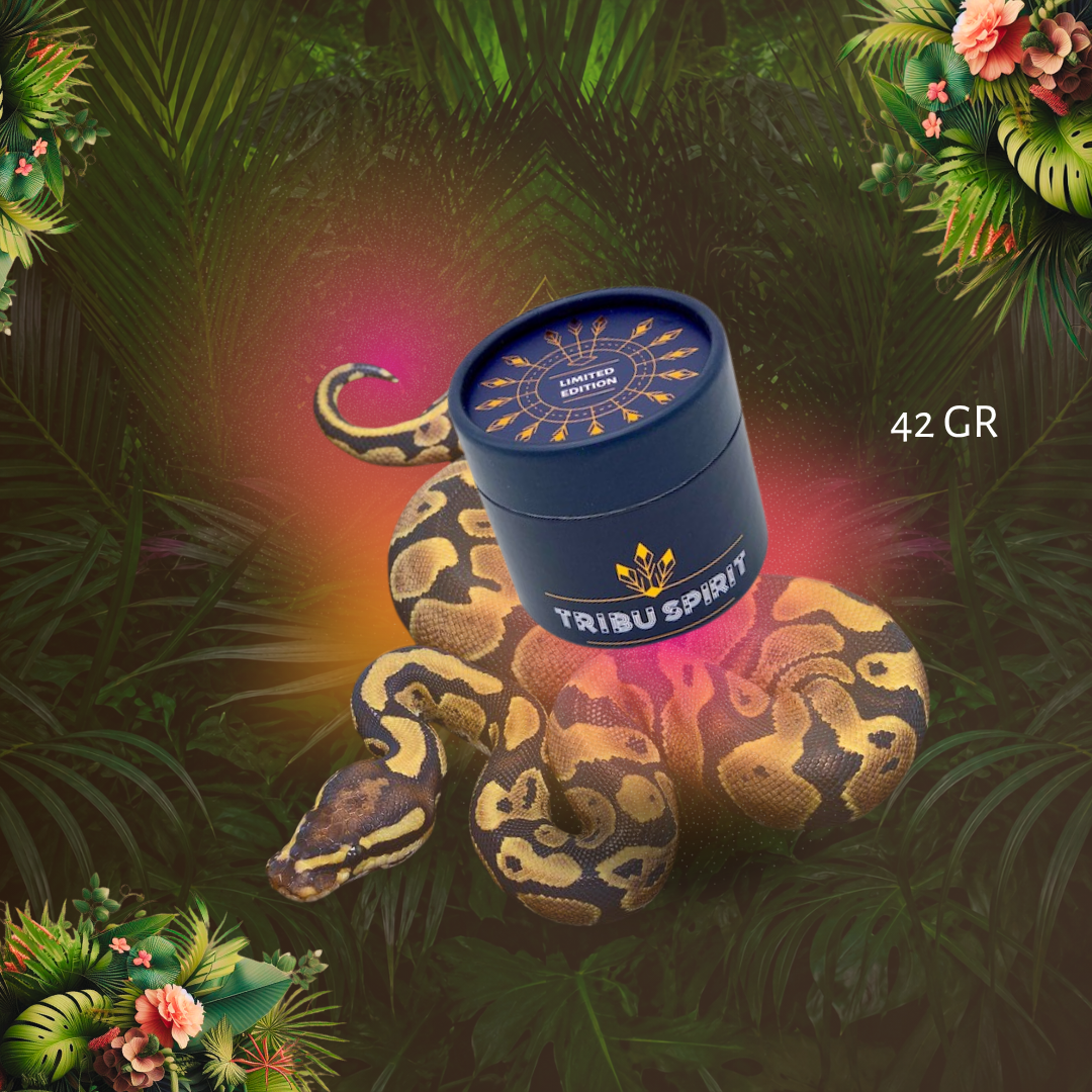 Limited Edition - Jiboia Hape' - Huni Kuin