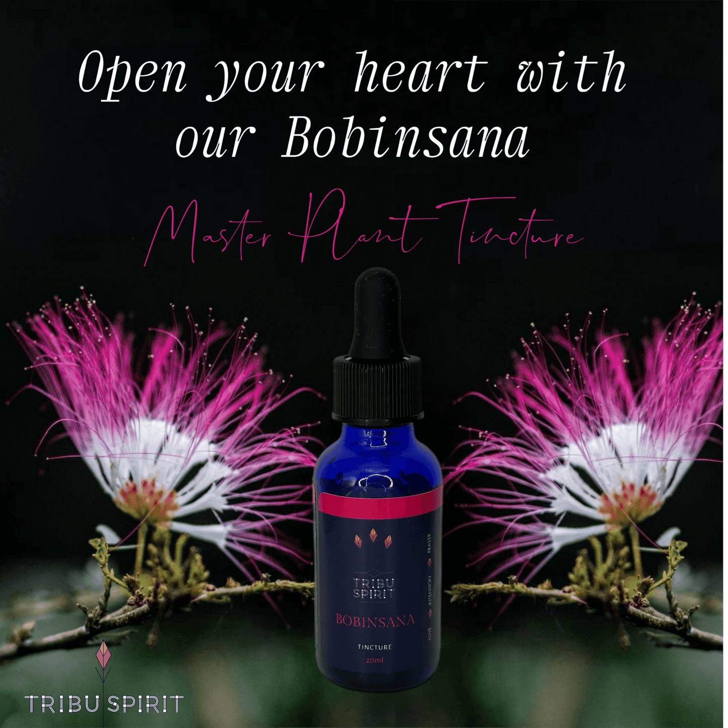 Bobinsana - Master Plant Tincture