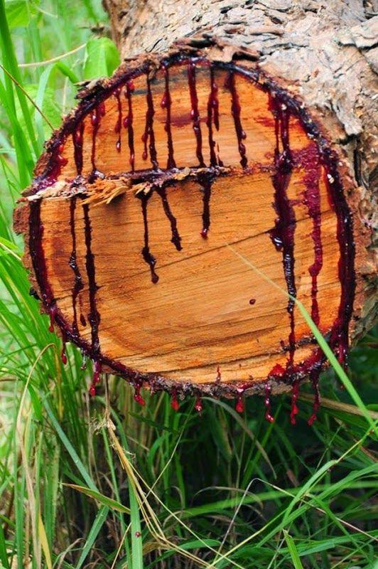 Dragons Blood