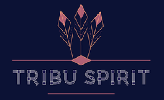 us.tribuspirit.com logo