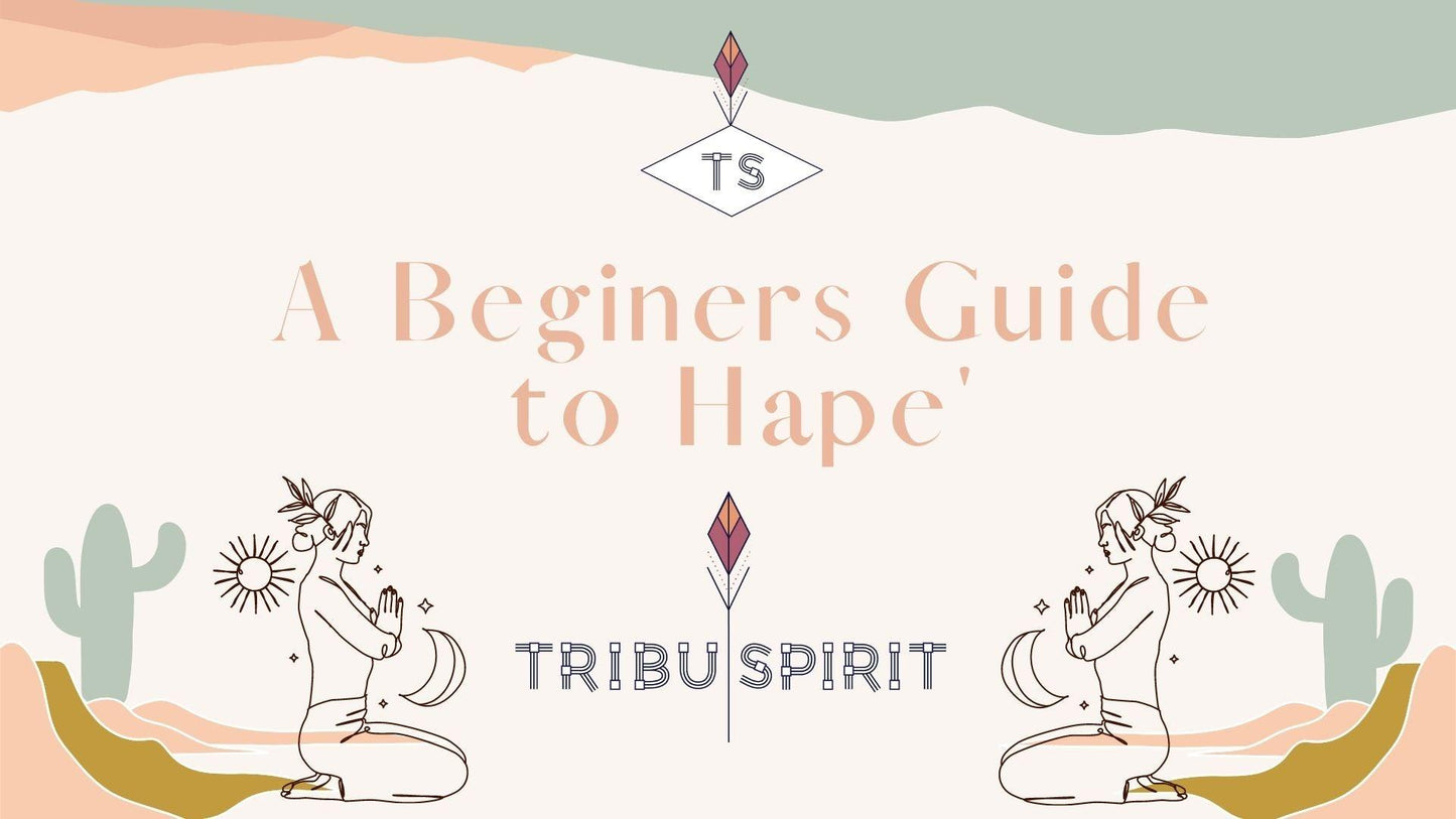A Beginner's Guide to Hape' Video & E- Book