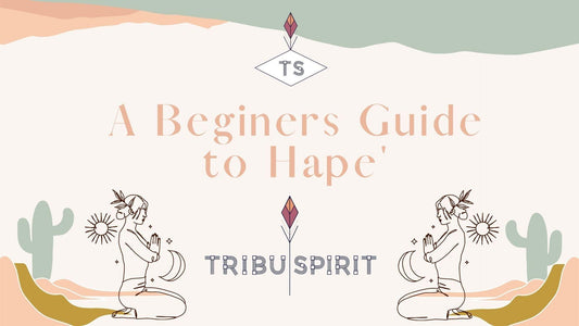 A Beginner's Guide to Hape' Video & E- Book