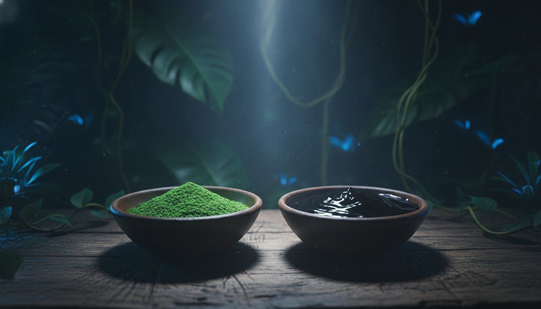 Mambe vs. Ambil: The Sacred Guide to Sourcing and Using Ypadú in 2026