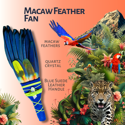Macaw Feather Smudge Fan