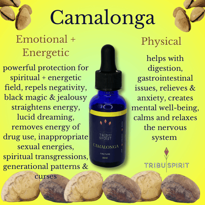 Camalonga - Master Plant Tincture