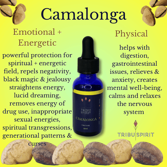 Camalonga - Master Plant Tincture