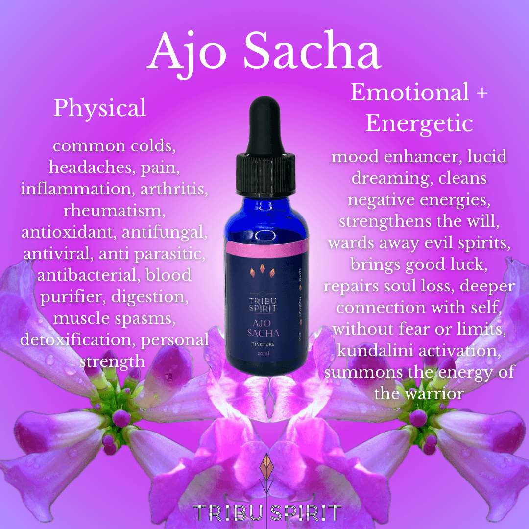 Ajo Sacha Master Plant Tincture 30ml — Amazonian wild garlic for energetic cleansing, protection, and spiritual strength