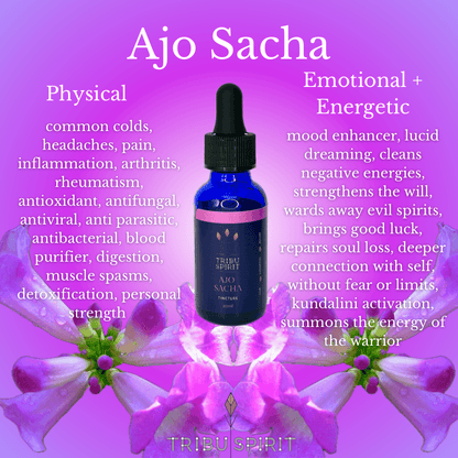 Ajo Sacha Master Plant Tincture 30ml — Amazonian wild garlic for energetic cleansing, protection, and spiritual strength