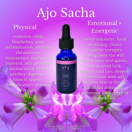Ajo Sacha Master Plant Tincture 30ml — Amazonian wild garlic for energetic cleansing, protection, and spiritual strength