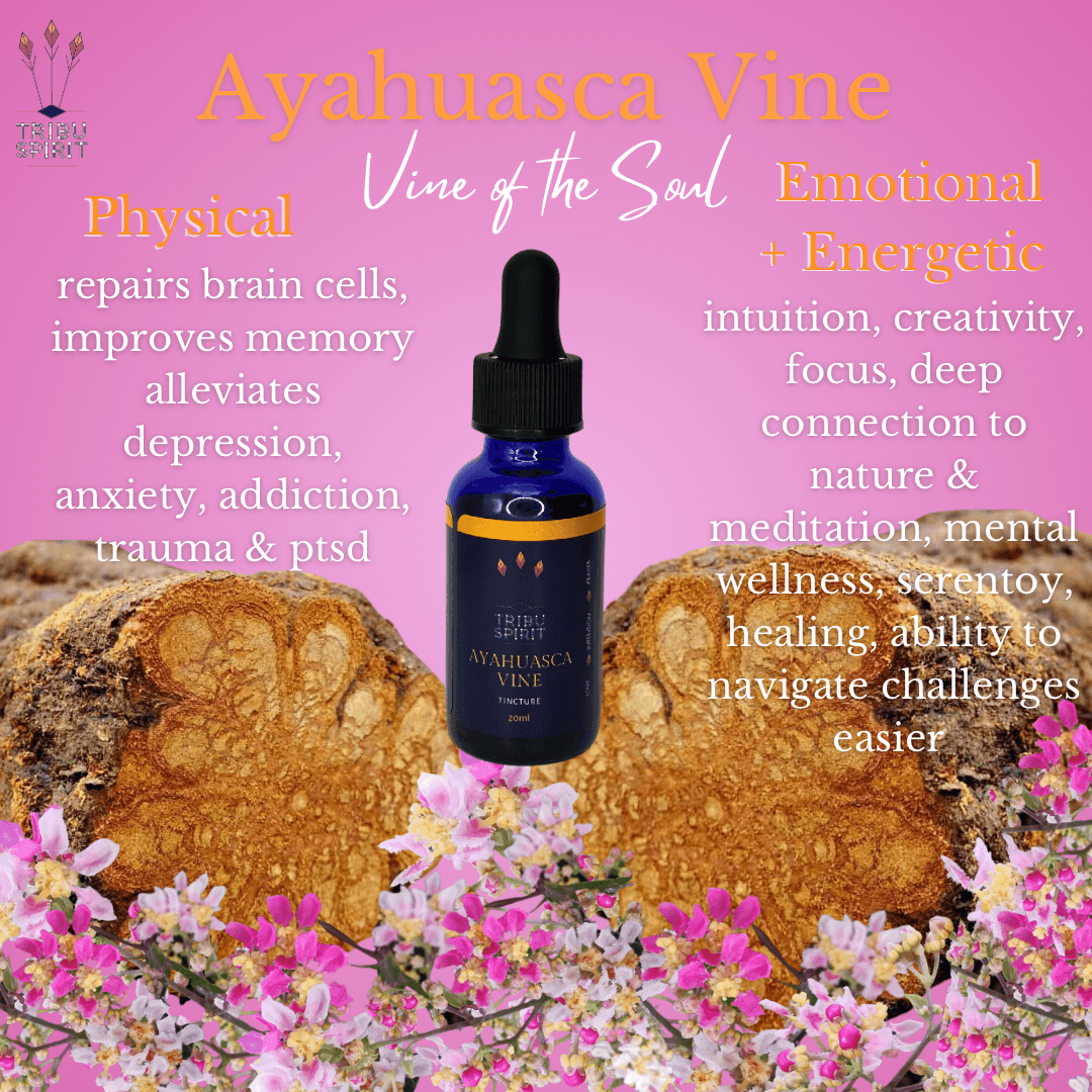 Ayahuasca Vine Master Plant Tincture 30ml — pure Banisteriopsis Caapi for neurological health, intuition, and ceremony preparation