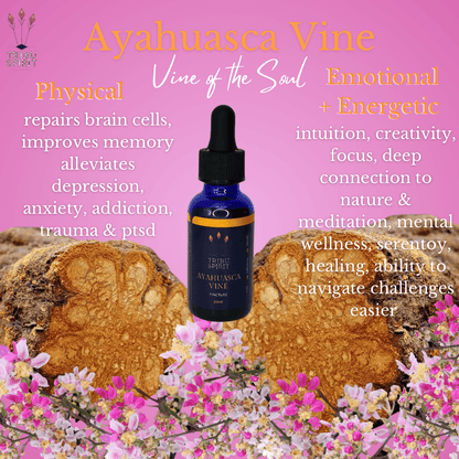 Ayahuasca Vine Master Plant Tincture 30ml — pure Banisteriopsis Caapi for neurological health, intuition, and ceremony preparation
