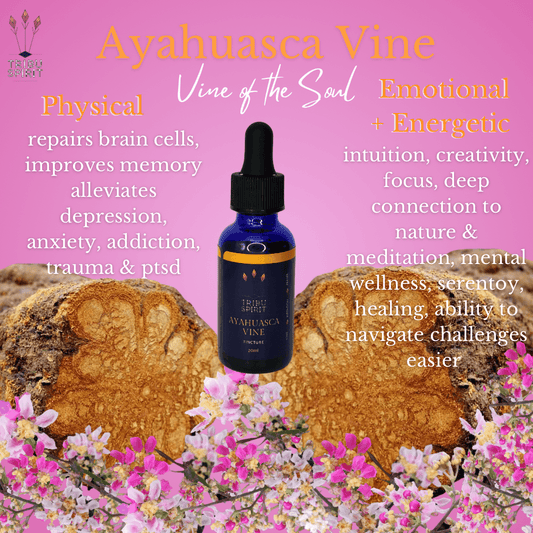 Ayahuasca Vine Master Plant Tincture 30ml — pure Banisteriopsis Caapi for neurological health, intuition, and ceremony preparation
