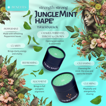 Sample Pack - Most Loved Limited Editions