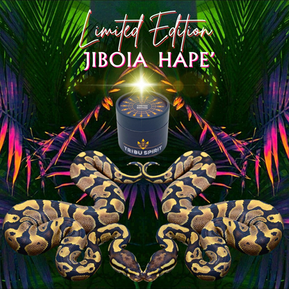 Jiboia Hapé limited edition handmade by the Huni Kuin tribe of the Brazilian Amazon — transformative serpent medicine for grounding and renewal
