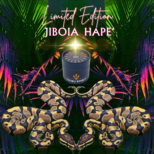 Jiboia Hapé limited edition handmade by the Huni Kuin tribe of the Brazilian Amazon — transformative serpent medicine for grounding and renewal