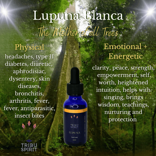 Lupuna Blanca - Master Plant Tincture