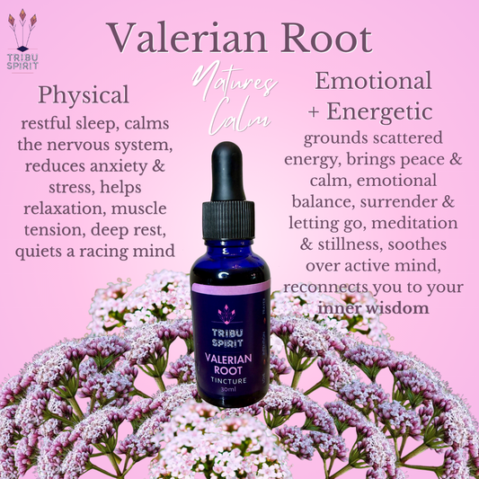 Valerian Root