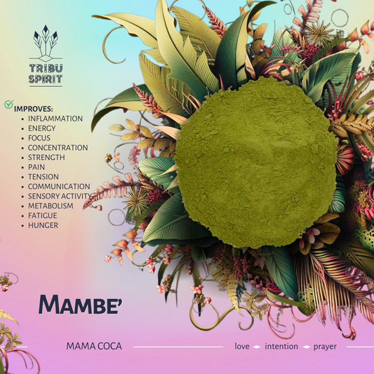Mambe_sacred_coca_leaf_plant_medicine_from_the_Bora_Tribe_of_Colombia_ceremonial_50g